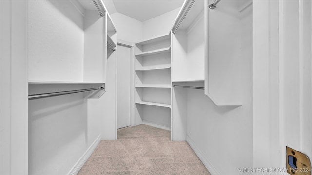 walk in closet with light carpet