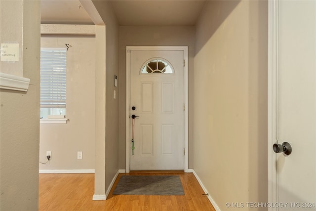 entrance foyer with light hardwood / wood-style flooring