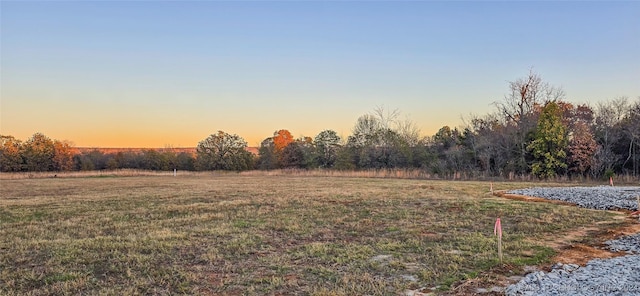 view of yard at dusk