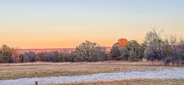 view of yard at dusk