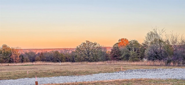 view of yard at dusk