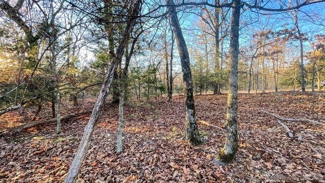 23200 Flint Ridge Dr, Kansas, OK 74347 - photo 10
