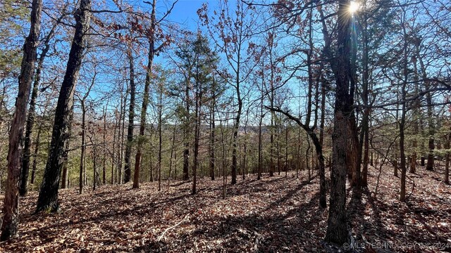 23200 Flint Ridge Dr, Kansas, OK 74347 - photo 11
