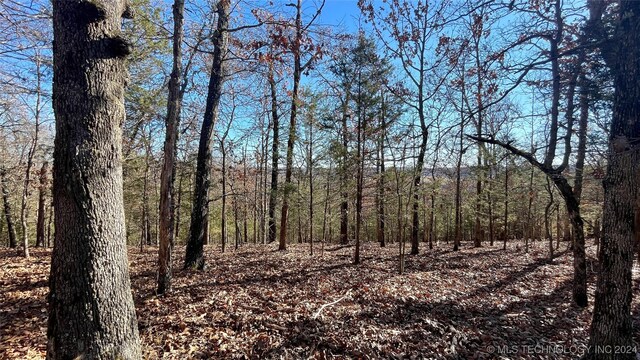 23200 Flint Ridge Dr, Kansas, OK 74347 - photo 12
