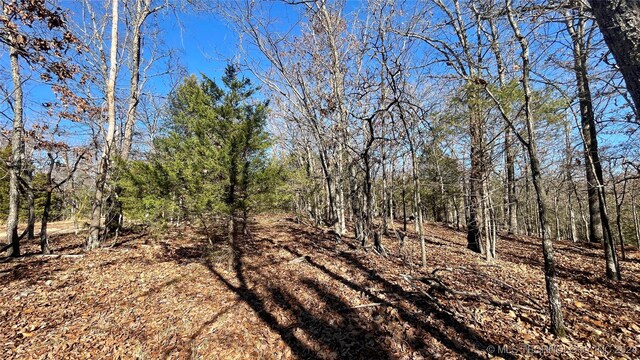 23200 Flint Ridge Dr, Kansas, OK 74347 - photo 15