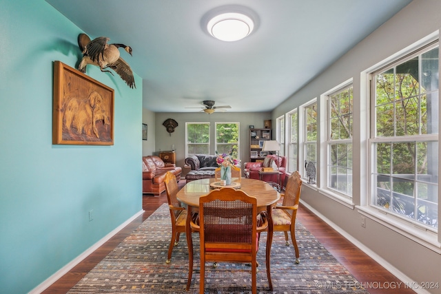 dining room with ceiling fan, dark hardwood / wood-style flooring, and a wealth of natural light