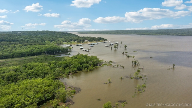 property view of water