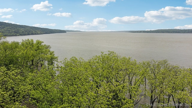 property view of water featuring a mountain view