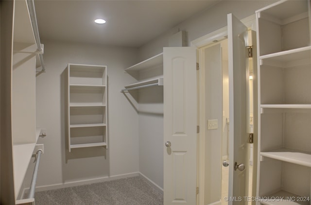 walk in closet featuring carpet floors