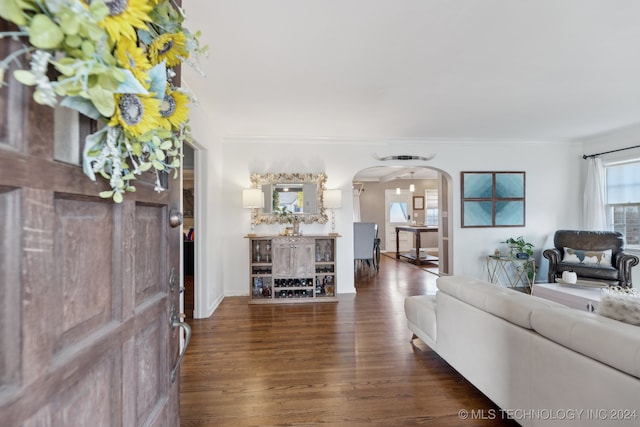 living room with dark hardwood / wood-style flooring and ornamental molding