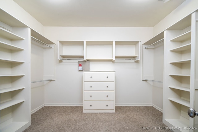 walk in closet with light colored carpet