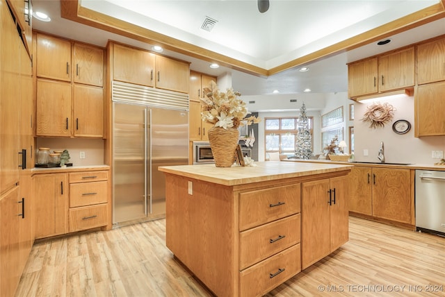 kitchen with a center island, sink, stainless steel appliances, a raised ceiling, and light hardwood / wood-style floors