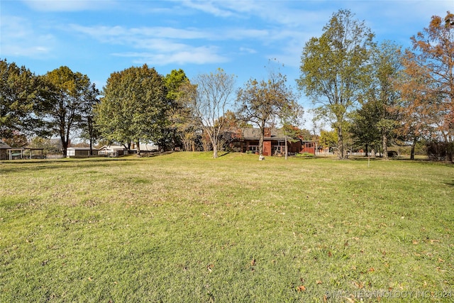 view of yard