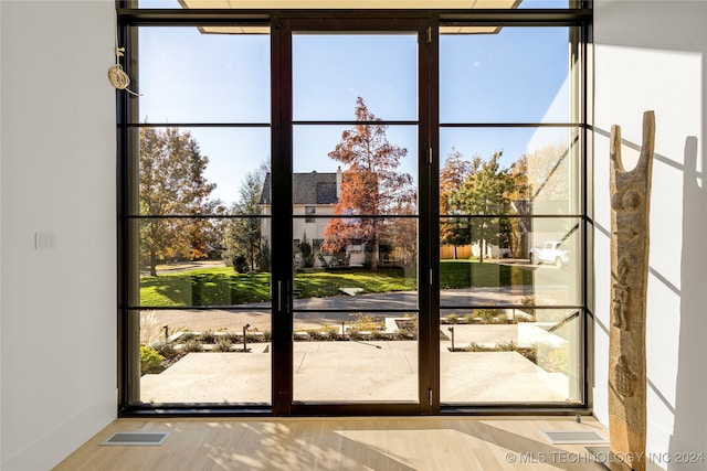 doorway with hardwood / wood-style floors and a healthy amount of sunlight