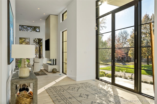 doorway to outside featuring a high ceiling and light hardwood / wood-style floors