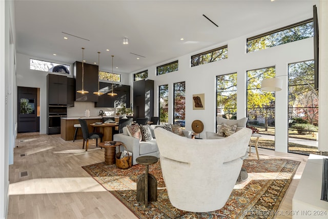 living room featuring a towering ceiling and light hardwood / wood-style floors