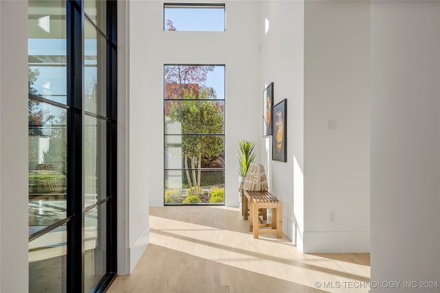 entryway with a towering ceiling and light wood-type flooring