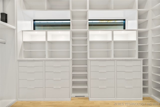 spacious closet featuring light wood-type flooring