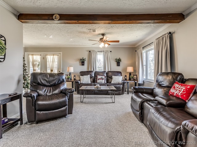 living room featuring beamed ceiling, a healthy amount of sunlight, carpet floors, and a textured ceiling