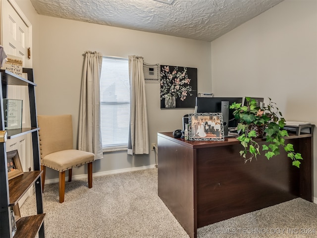 carpeted office featuring a textured ceiling