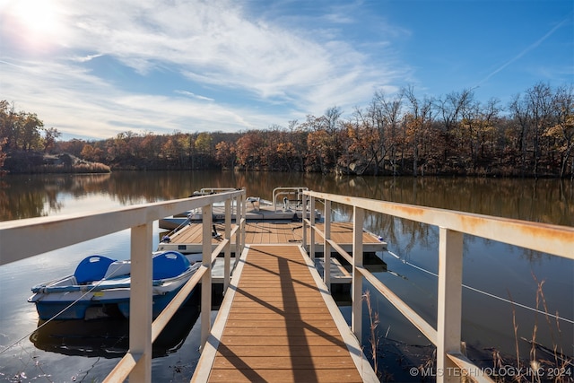 dock area with a water view