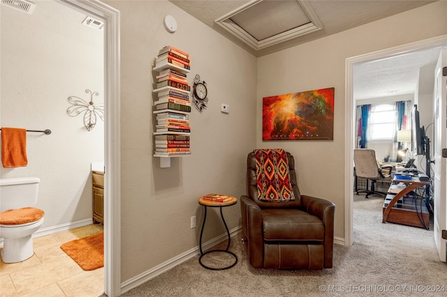 living area featuring a textured ceiling and light colored carpet