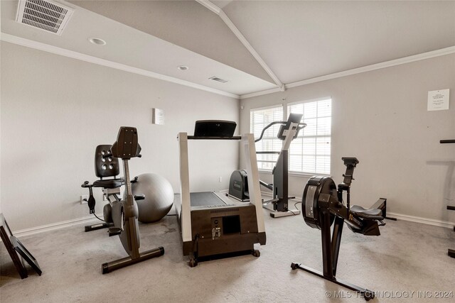 workout area with light colored carpet and ornamental molding