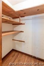 spacious closet with hardwood / wood-style flooring