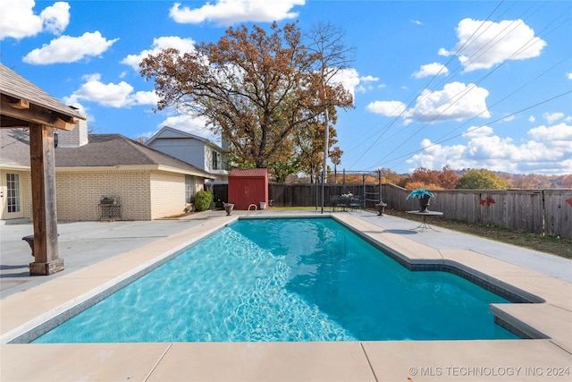 view of swimming pool featuring a patio and a shed