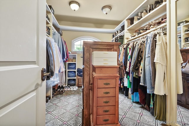 view of spacious closet