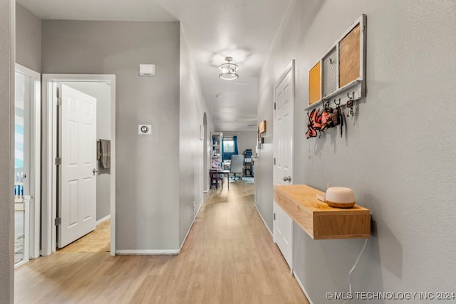 hall featuring a wealth of natural light and light wood-type flooring