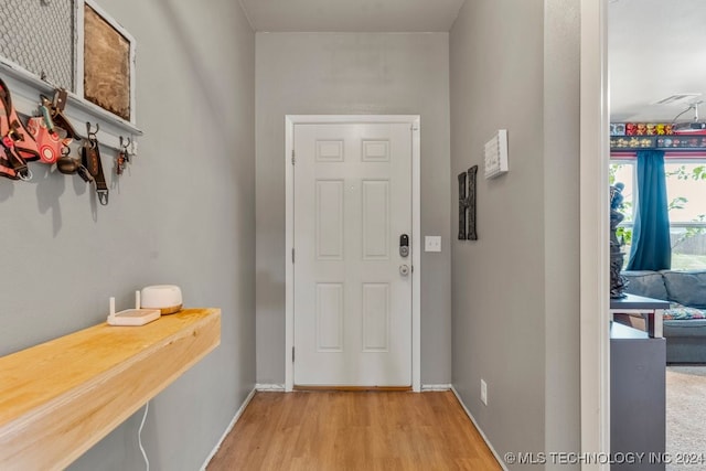 foyer entrance with light hardwood / wood-style flooring