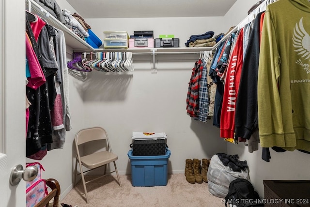 walk in closet with light colored carpet