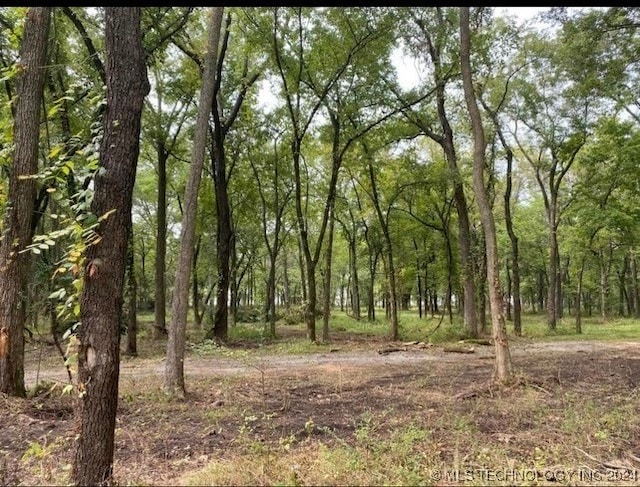 view of local wilderness