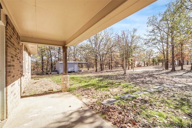 view of yard with a storage unit and a patio area