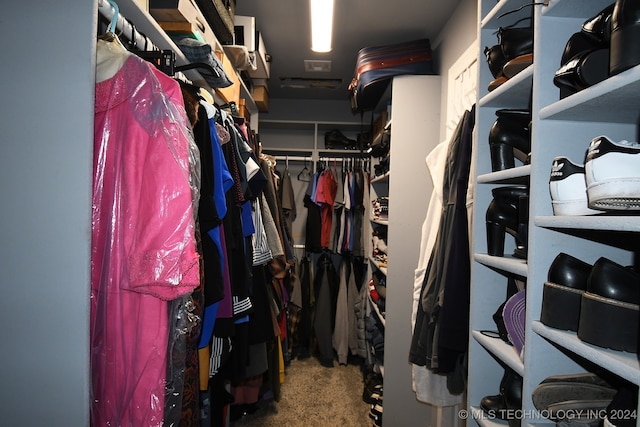 spacious closet featuring carpet floors