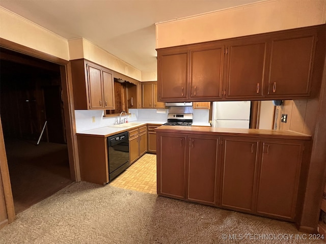 kitchen with dishwasher, sink, stainless steel stove, white fridge, and light colored carpet