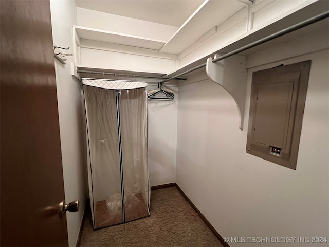 spacious closet featuring dark colored carpet and electric panel