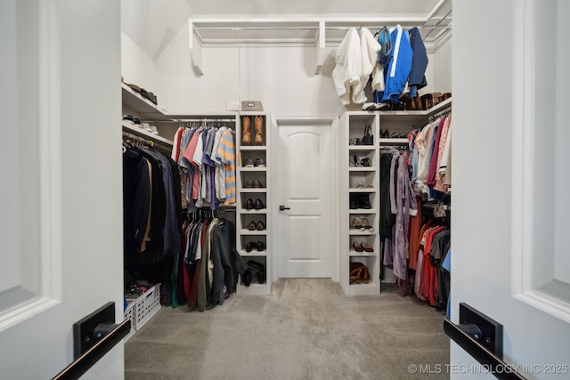 walk in closet featuring carpet floors