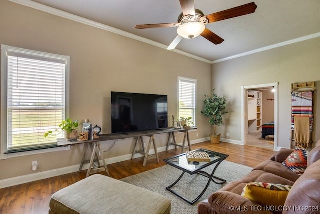 living room with ceiling fan, hardwood / wood-style floors, and ornamental molding