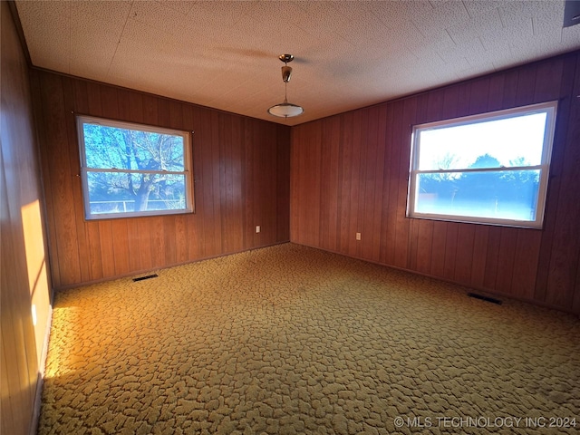 carpeted empty room featuring a textured ceiling, wooden walls, and a healthy amount of sunlight