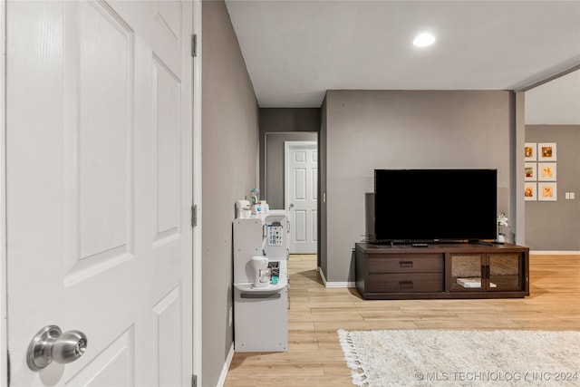 living room featuring wood-type flooring