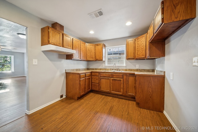 kitchen with light hardwood / wood-style floors, a wealth of natural light, and sink