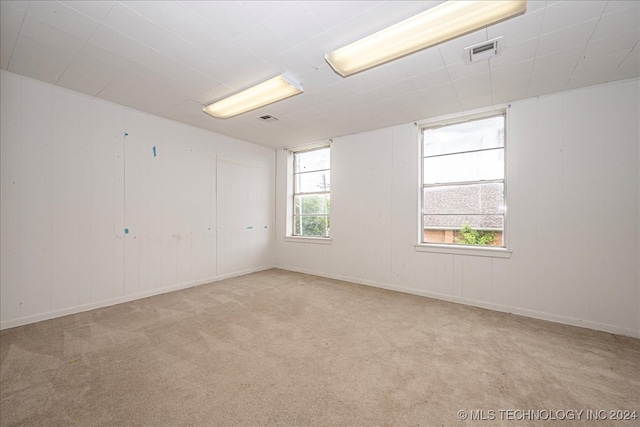 empty room featuring light carpet and a wealth of natural light