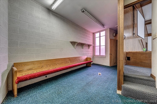 mudroom with carpet