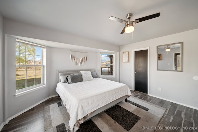 bedroom featuring ceiling fan, dark wood-type flooring, and multiple windows