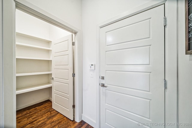 interior space with dark wood-type flooring