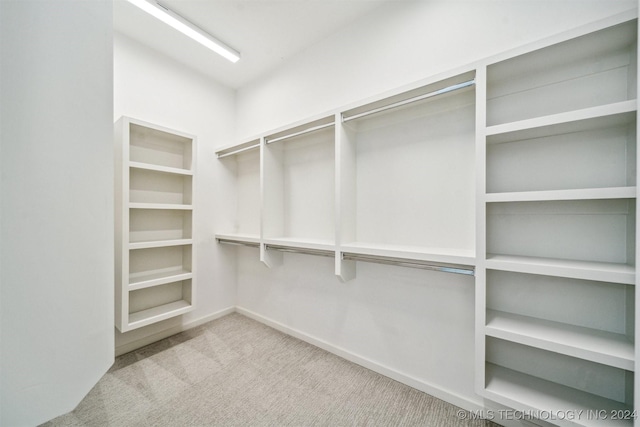 spacious closet featuring light carpet