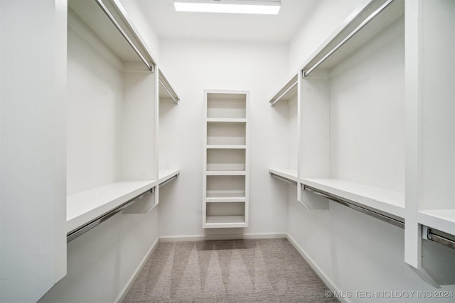 walk in closet with light colored carpet