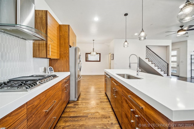 kitchen featuring backsplash, sink, wall chimney exhaust hood, light hardwood / wood-style floors, and stainless steel appliances